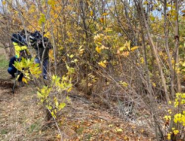 Cadavrul ars găsit pe câmp în Giurgiu e al unei femei tinere. A fost băgată într-o valiză, cu mâinile legate