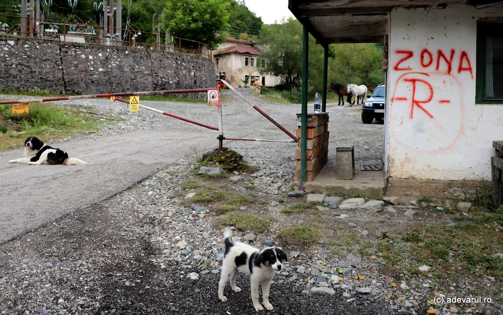 Cancer gazos: cum poți afla dacă ai radon în casă. Harta zonelor sensibile și riscurile radioactive
