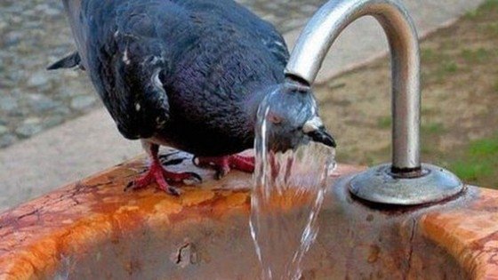 Caniculă în sudul și vestul țării! Cum va fi vremea în celelalte zone