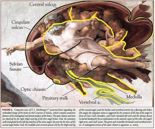 Care este mesajul secret pictat de Michelangelo in Capela Sixtina din Roma?