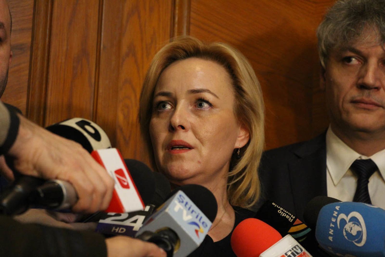 Carmen Dan: Oana Schmidt-Hăineală ar fi un câştig pentru MAI