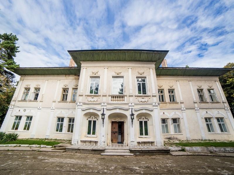 Castelul Cantacuzino-Ghica Deleni din Iași, scos la vânzare. Preţul de pornire - 500.000 euro