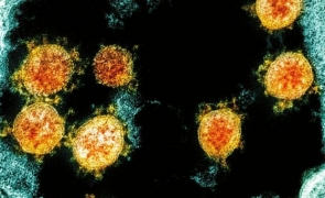 CDC modifică obiectivele pandemiei de la atingerea imunității de turmă