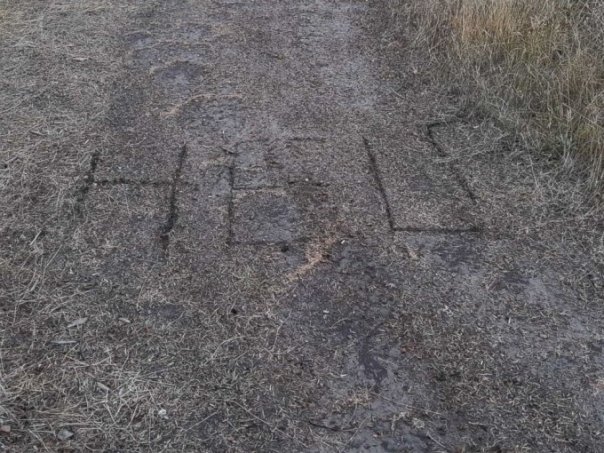 Ce au descoperit un tata si fiul sau dupa ce au vazut