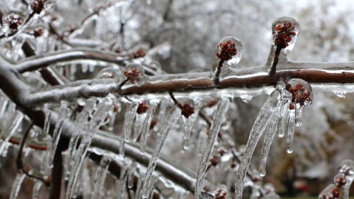 Ce este, de fapt, ploaia îngheţată, fenomenul meteo care a îngrozit România