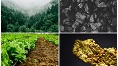 Ce loc ar trebui să ocupe România în UE, ca nivel de trai, ținând cont de resursele naturale, potrivit AI. Cauzele eșecului, găsite de inteligența artificială