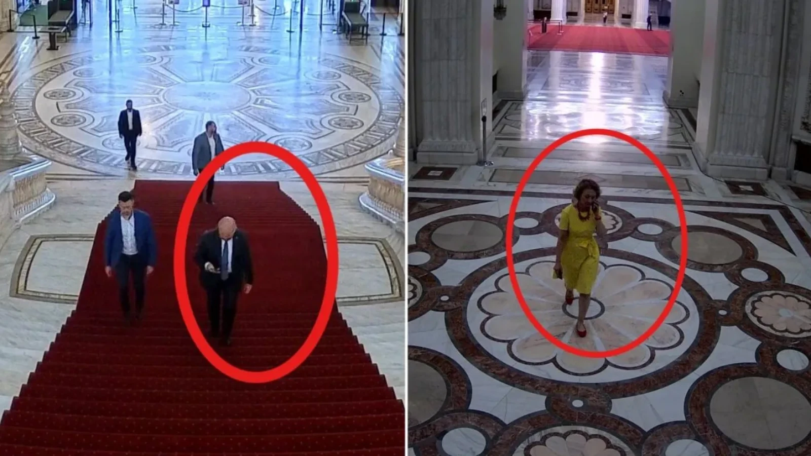 Ce s-a întâmplat în spatele ușilor închise: Simina Tănăsescu (CCR) le-a răspuns în scris senatorilor care anchetează întâlnirea cu Ilie Bolojan