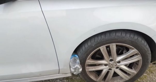 Ce se intampla daca gasiti un pet bagat la roata masinii? Este posibil sa fiti in pericol