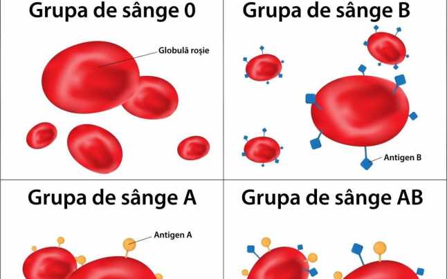 Ce trebuie să ştii despre grupele de sânge. De ce este important Rh-ul