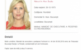 Ce urmează în cazul Bica-Udrea, fiind arestate de INTERPOL