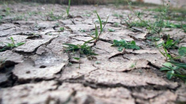 Cea mai gravă secetă din ultimii 100 de ani în Europa de Est