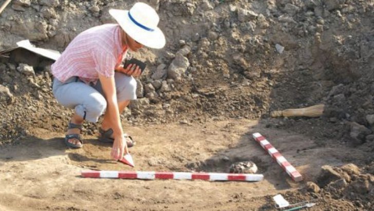 Cel mai vechi obiect de pe Terra a fost descoperit si provine de pe Marte