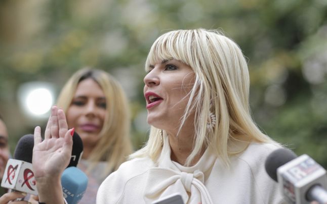 Cele două motive care ar fi determinat-o pe Elena Udrea să revină în ţară