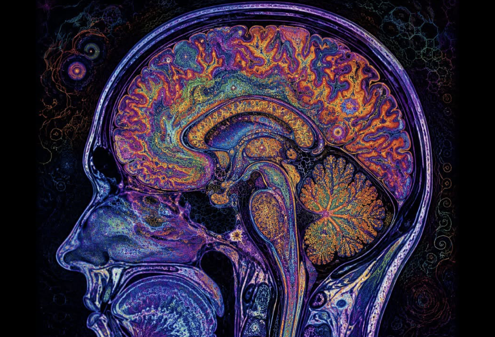 Cercetătorii au scanat creierul uman cum pătrunde în hiperspațiu sub efectul DMT