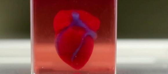 Cercetătorii israelieni au printrat în 3D o inimă în miniatură folosind țesut uman