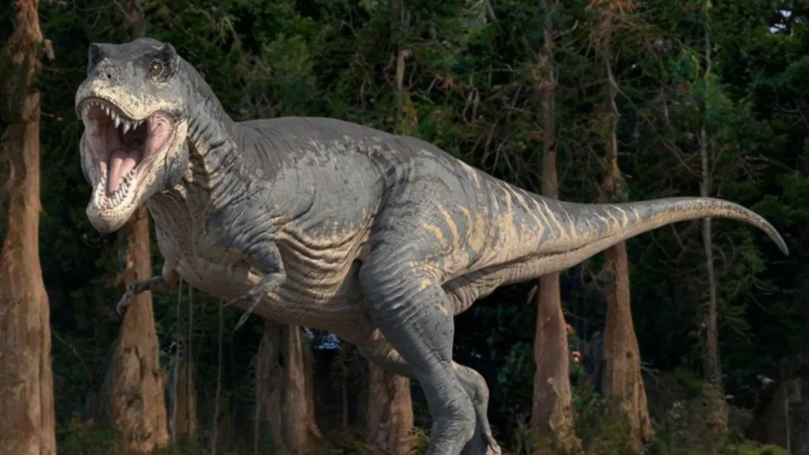 Cercetătorii încep să afle de ce uriașul dinozaur T.Rex avea membre nepotrivit de mici
