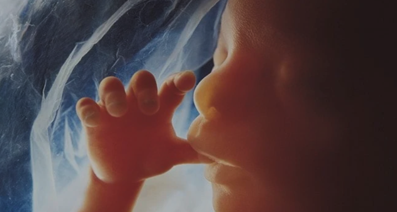 Cercetătorii transumaniști lucrează la crearea de embrioni umani cu ADN provenind de la doi bărbați

