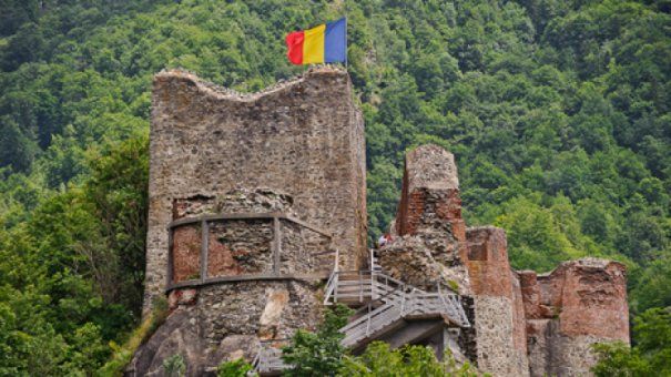 Cetatea Poenari asediată de urși