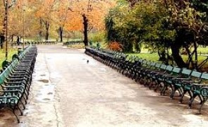 Cișmigiul, survolat de păsări răpitoare antrenate pentru alungarea ciorilor
