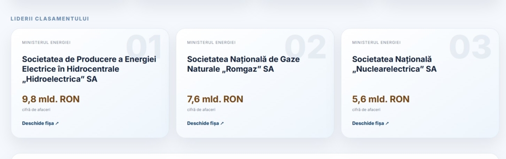 Cine face miliarde din bani publici. Salariu de 70.000 de lei pe lună la o companie de stat. Topul giganților din energie

