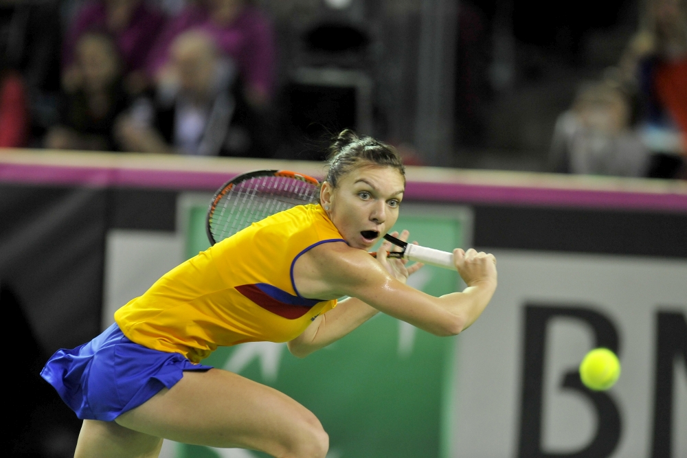 Cine transmite la tv meciurile România - Germania de la Fed Cup