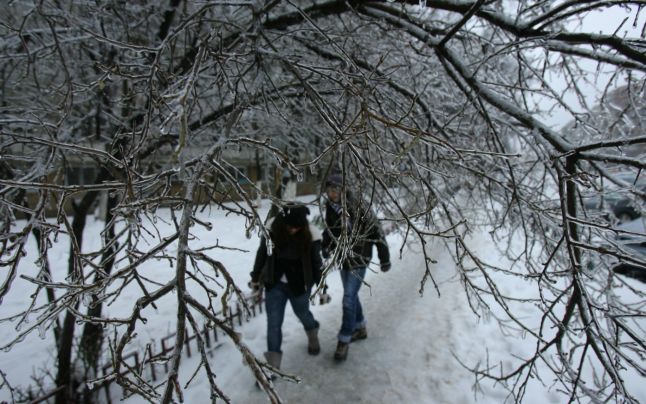 Cod galben de polei în mai multe judeţe din ţară. Care sunt zonele afectate