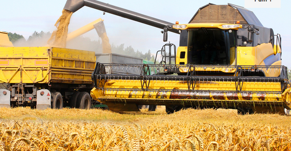 Condiţii extrem de dure pentru străinii care vor să cumpere terenuri agricole în România