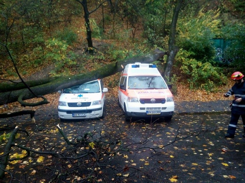 Copac căzut peste două ambulanțe, în fața Crucii Roșii!