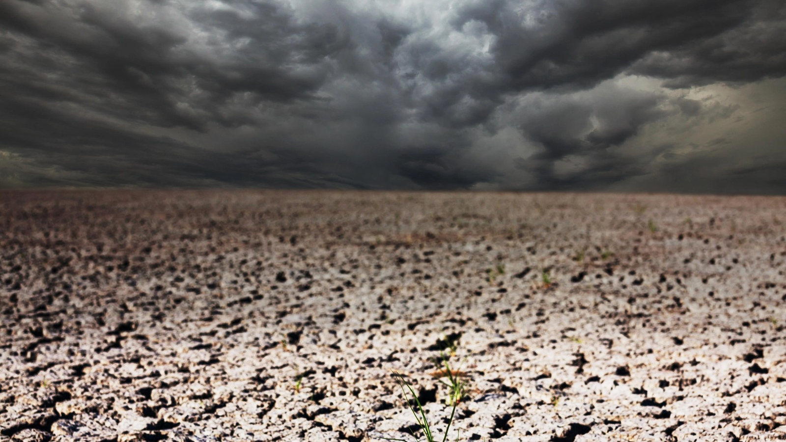 Copernicus vine cu o profeție teribilă pentru România: Țara noastră va fi lovită de fenomene extreme și clima se va schimba radical
