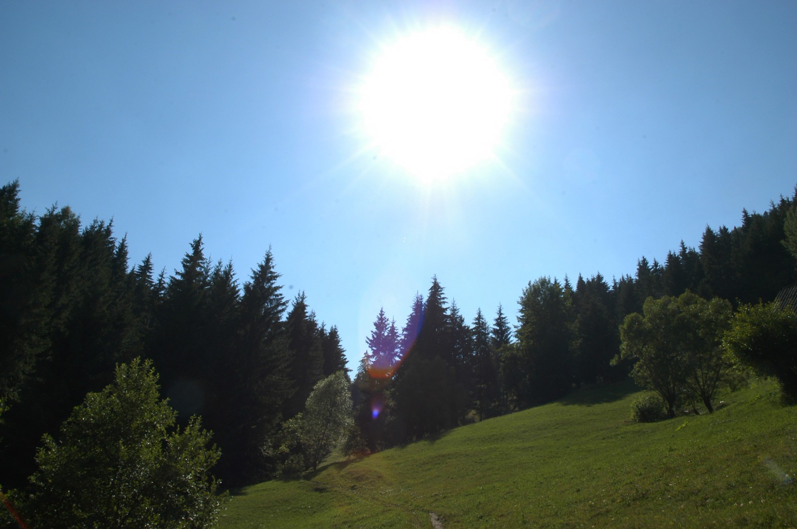 Cum i-a gasit Jandarmeria pe alpiniștii dispăruţi