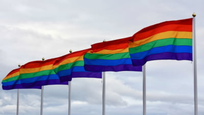 Curtea Supremă a Rusiei a scos în afara legii mișcarea LGBT calificând-o drept 