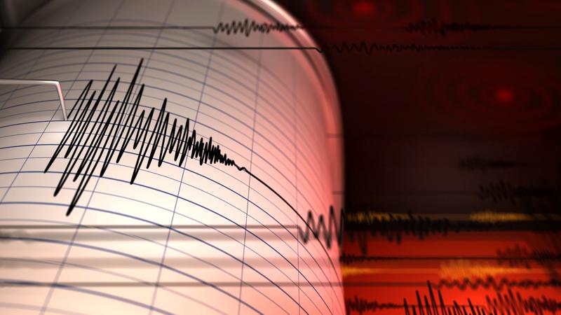 Cutremur cu magnitudinea 4,5 în Vrancea, cel mai puternic din acest an, urmat de o replică, ambele la 81 de kilometri de Brașov