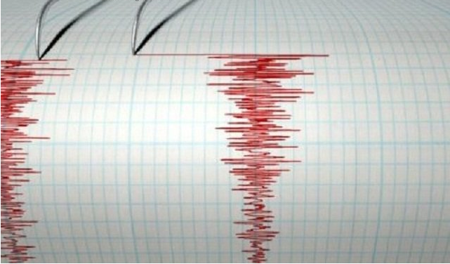Cutremur de 3,4 grade pe scara Richter în județul Buzău, la ora 4:50