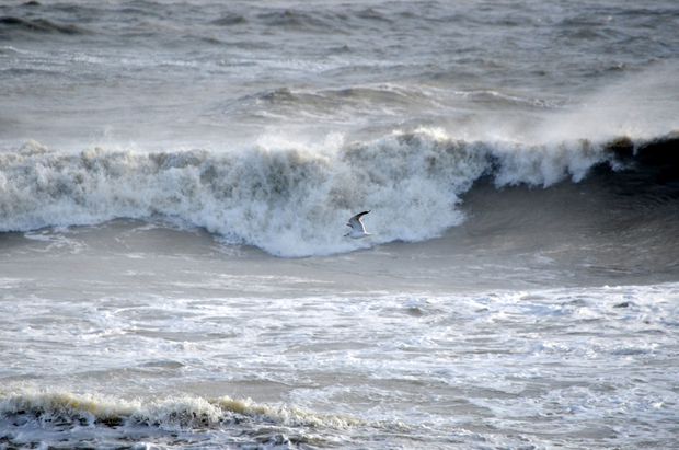 Cutremur puternic si mini-tsunami în Marea Neagră