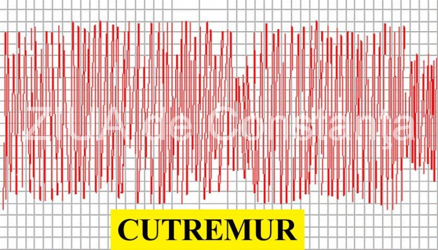 Cutremure consecutive, în această dimineață, în zona seismică Vrancea