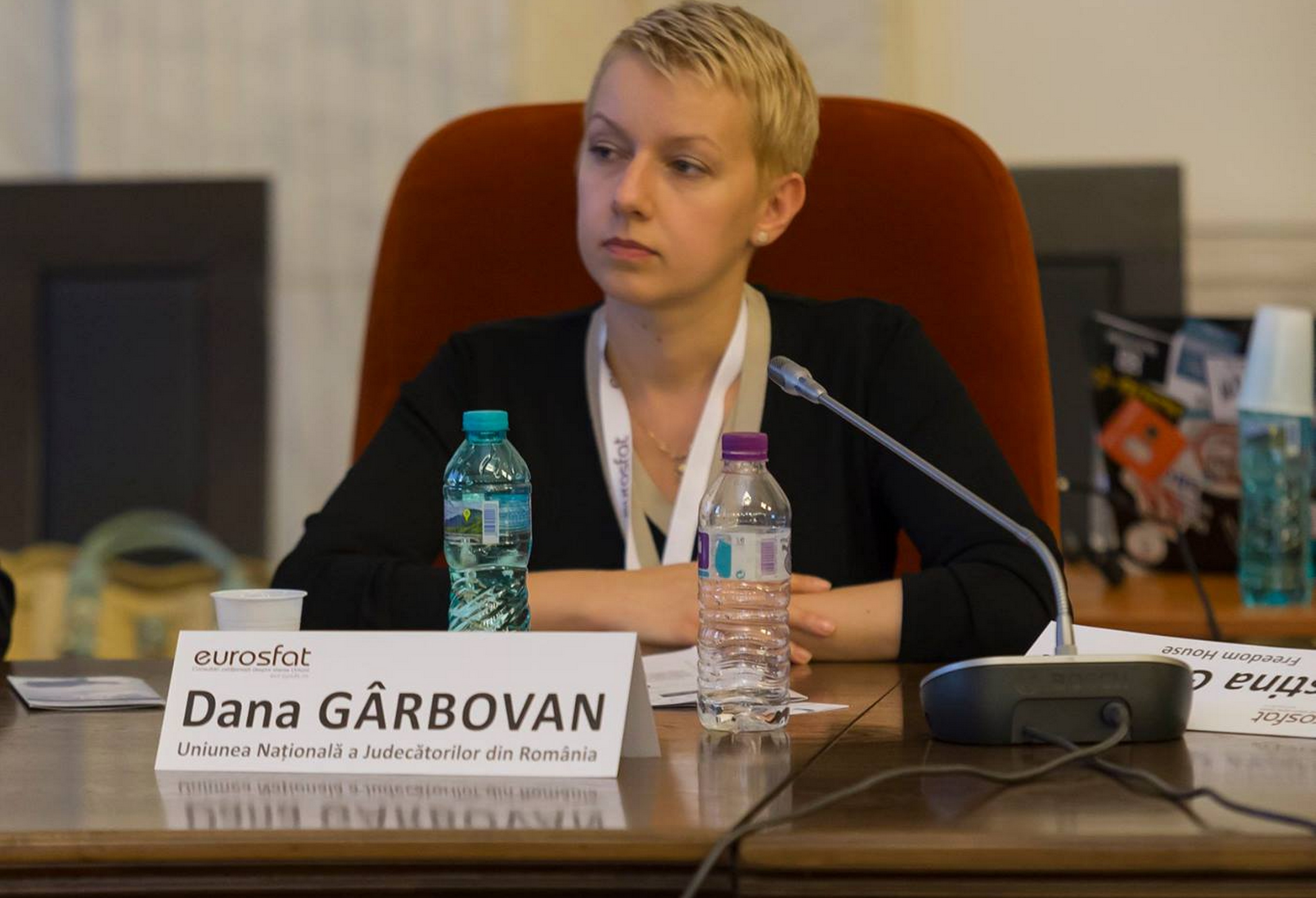 Dana Gîrbovan (UNJR): Gravitatea celor prevăzute în protocolul SRI - Parchet este cutremurătoare