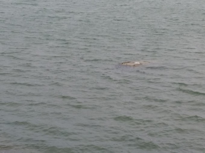 Descoperire misterioasă în Lacul Morii