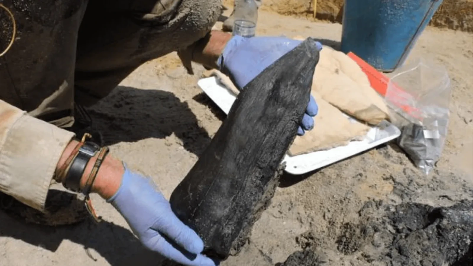 Descoperirea care a uimit arheologii: va schimba multe despre modul în care am înțeles perioada preistorică
