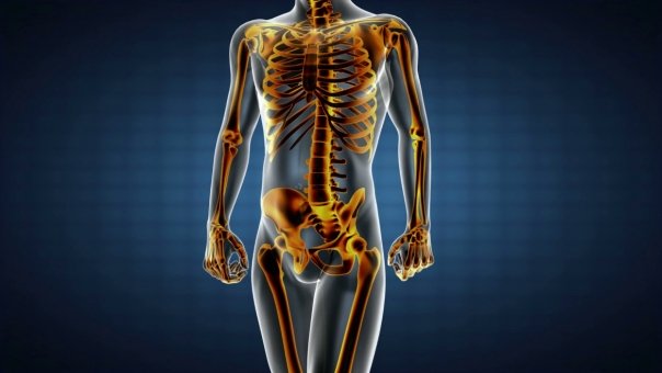 Descoperirea medicala inedita care schimba ce stiai despre scheletul uman