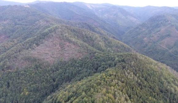 Dezastru natural în România, după fenomenele meteo extreme din ultimele zile