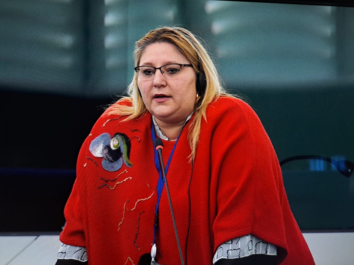 Diana Șoșoacă s-a dezlănțuit despre guvernare: Nicușor Dan e Calul troian