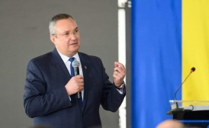 Diaspora cere ca alegerile europarlamentare să dureze două zile