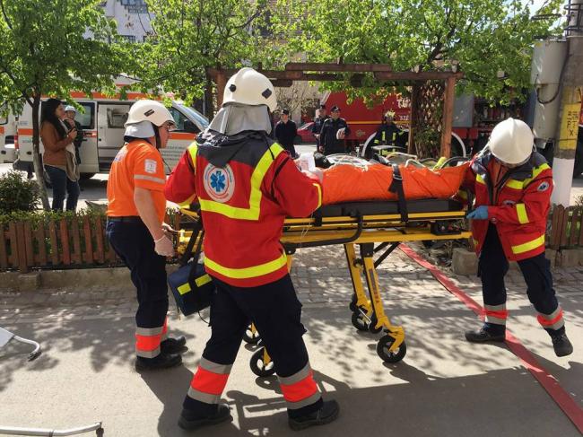 Doi ciobani au ajuns la spital după ce au fost atacaţi de un urs