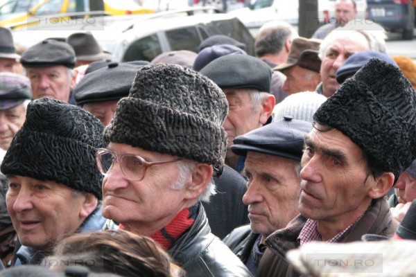 Domeniile care caută să angajeze pensionari part-time