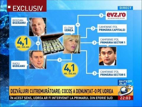 Dorin Cocoş e denunţător în dosarul care o îngroapă pe Elena Udrea