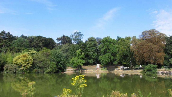 Două românce găsite moarte într-un parc din Paris. Ce au descoperit polițiștii la fața locului?