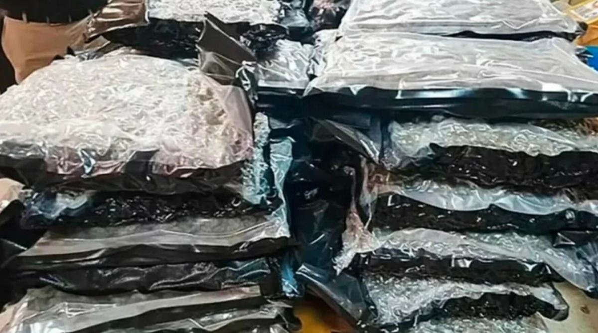 Drogul macabru fabricat din cadavre, face victime și se extinde internațional