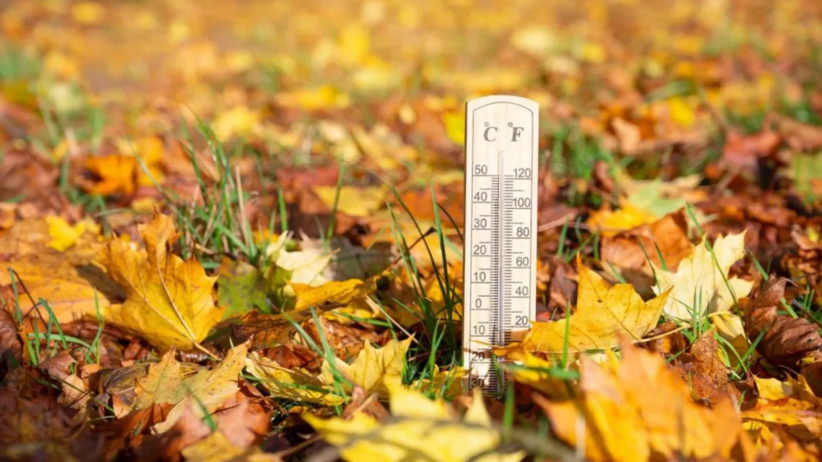 El Nino contraatacă - Răsturnare spectaculoasă a vremii în România: De la ninsoare la 25 de grade în doar câteva zile
