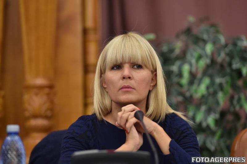 Elena Udrea: Acesta nu este un sistem democratic, serviciile ajung să controleze tot