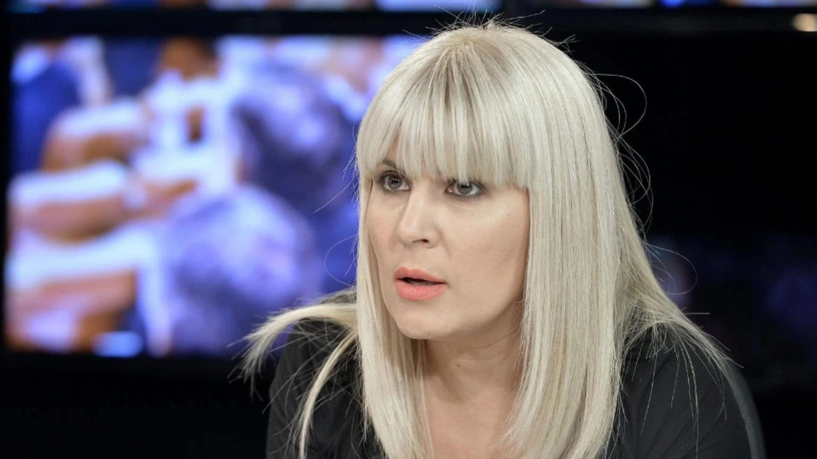 Elena Udrea: Bruxelles a descoperit că vaca, porcul și găina sunt infrastructură de securitate. Ferească Dumnezeu cu neterminații ăstia
